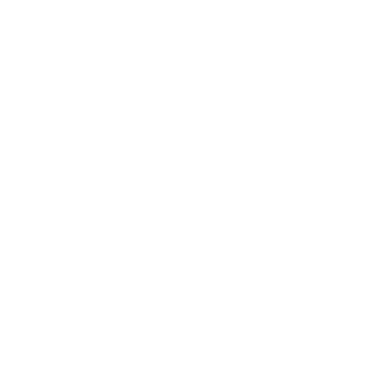 Marcas y empresas que confiaron en la agencia Rayo